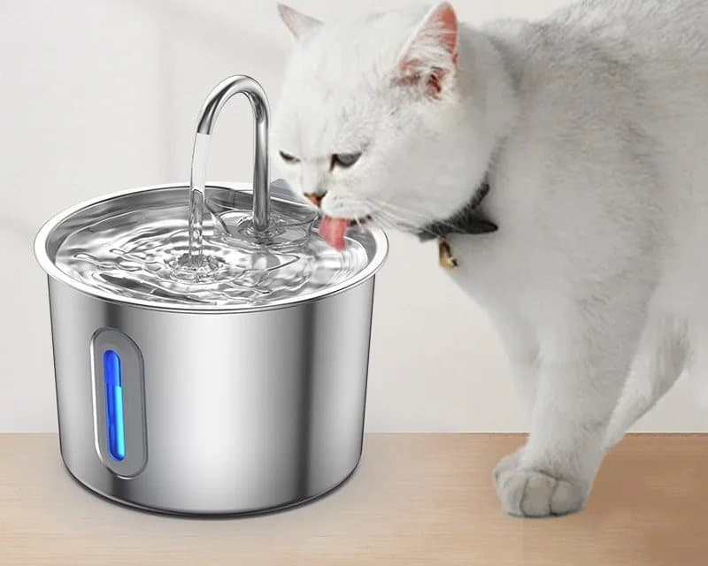 Gato bebiendo de la fuente de acero inoxidable